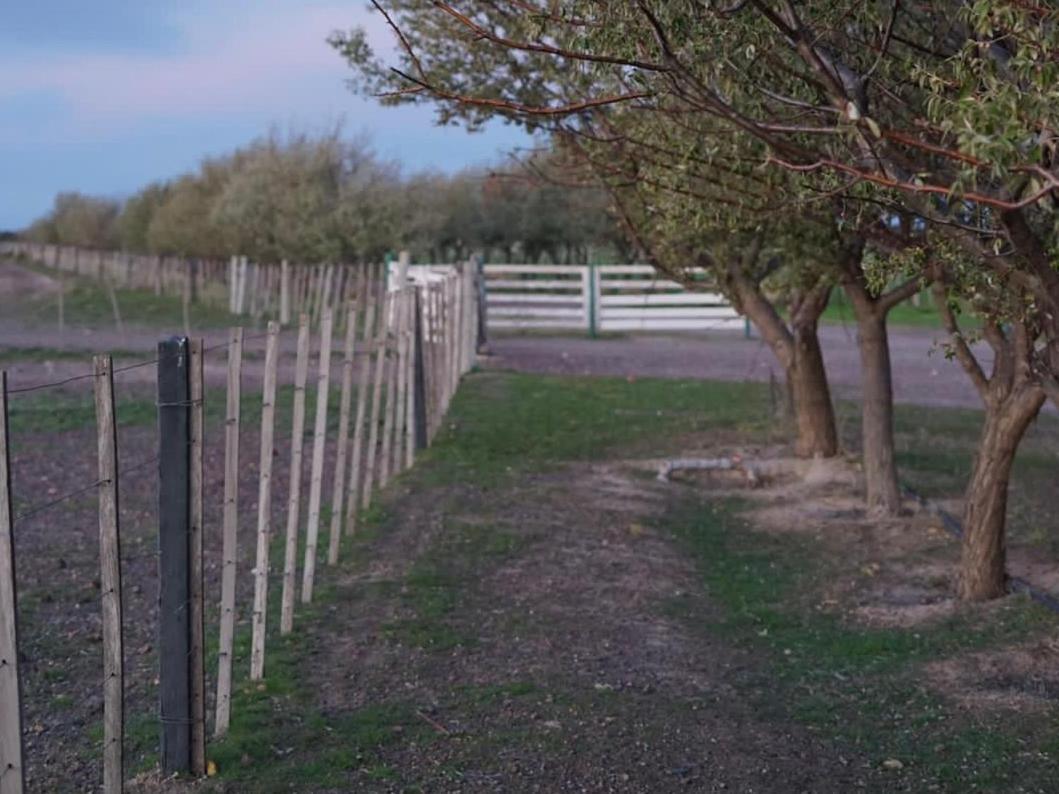 Estancia Tatay Trelew Exterior photo